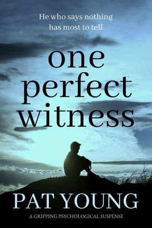 One Perfect Witness