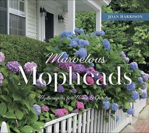 Marvelous Mopheads