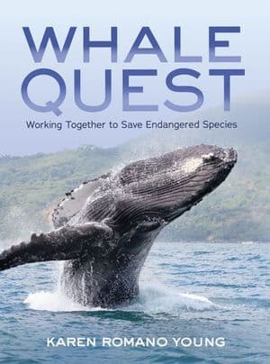 Whale Quest