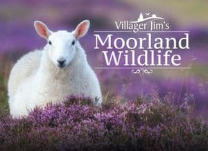 Villager Jim's Moorland Wildlife