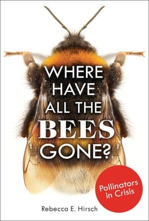 Where Have All the Bees Gone?