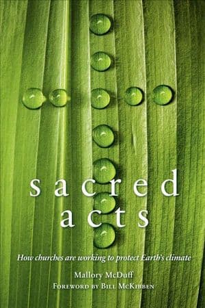 Sacred Acts