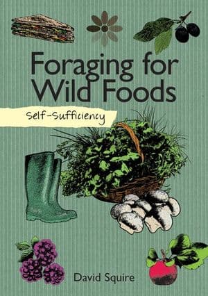 Buy Foraging for Wild Foods at Amazon