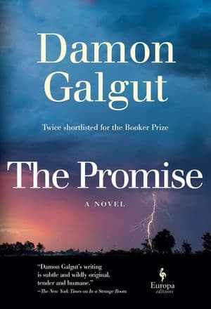 Buy The Promise at Amazon