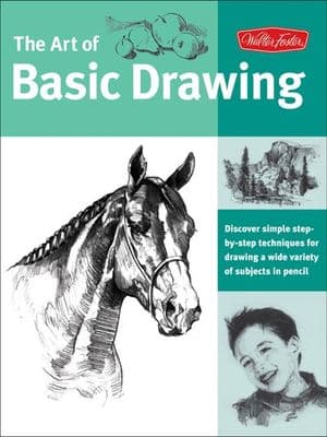 The Art of Basic Drawing