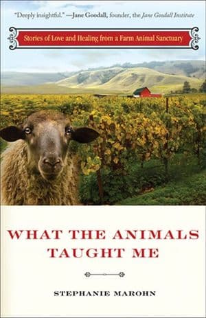 Buy What the Animals Taught Me at Amazon