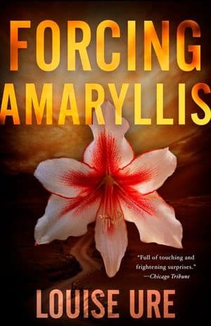 Forcing Amaryllis