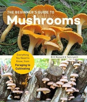 The Beginner's Guide to Mushrooms