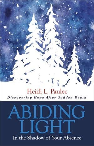 Buy Abiding Light at Amazon