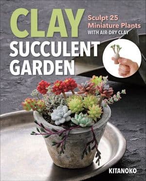 Buy Clay Succulent Garden at Amazon