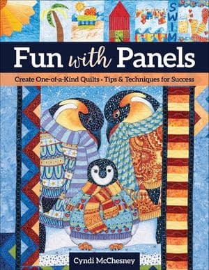 Buy Fun with Panels at Amazon