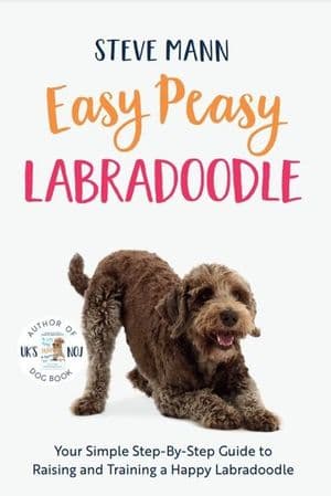 Easy Peasy Labradoodle