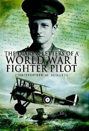 Buy The Diary & Letters of a World War I Fighter Pilot at Amazon