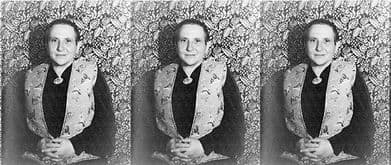 gertrude stein