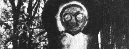 Flatwoods monster