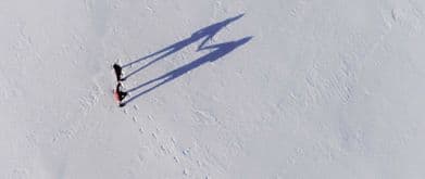 couple walking in the snow