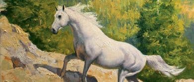 books about horses