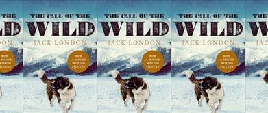 the call of the wild jack london