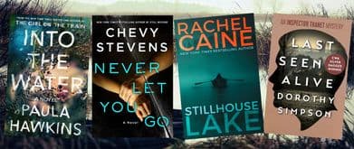 best mystery books 2017