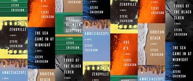 steve erickson books