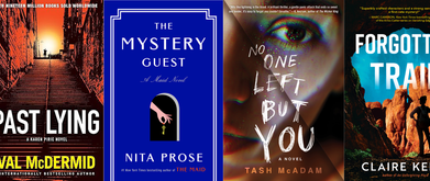 new mystery & thriller books in november 2023